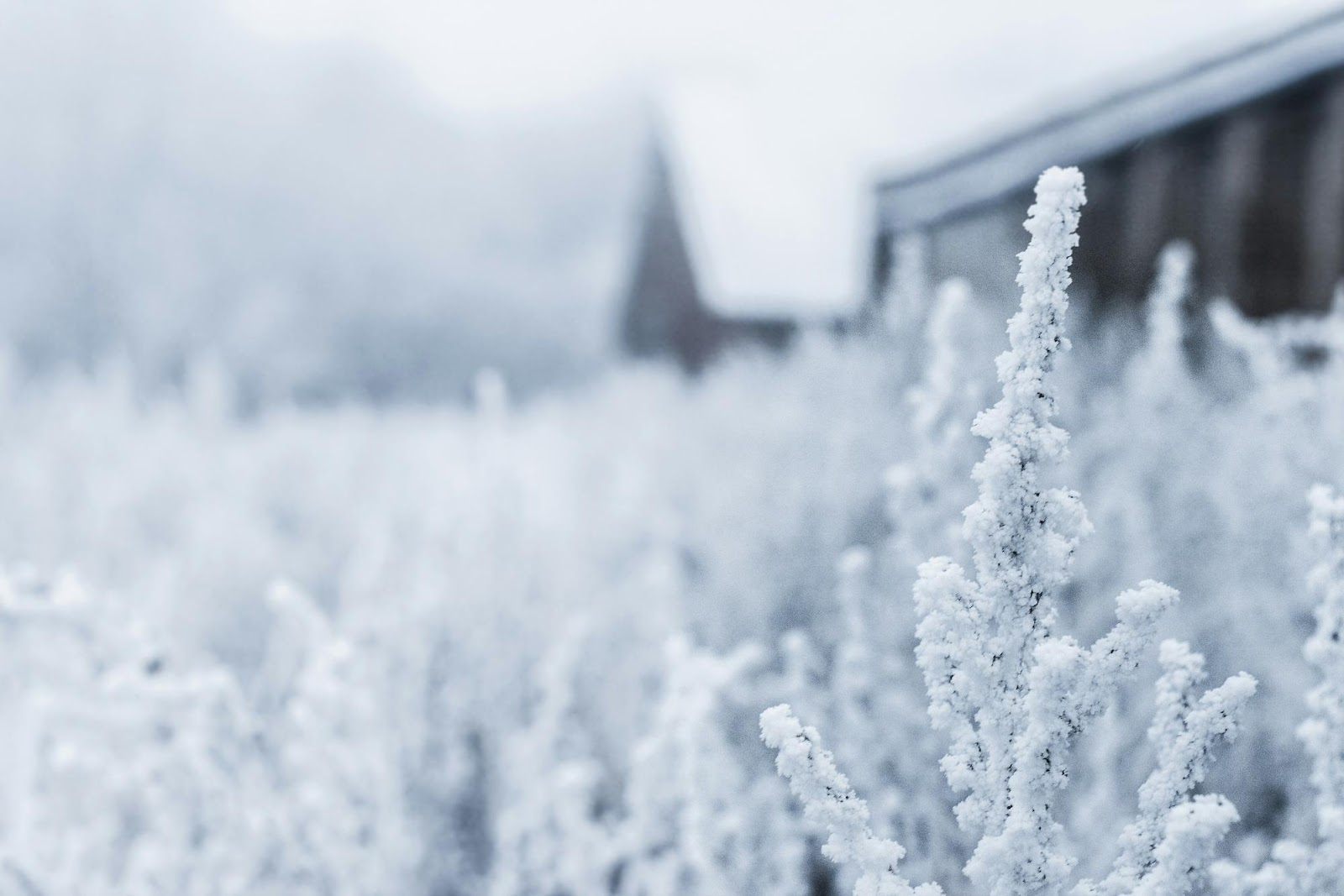 Seasonal Home Checklist: Preparing for Temperature Drops